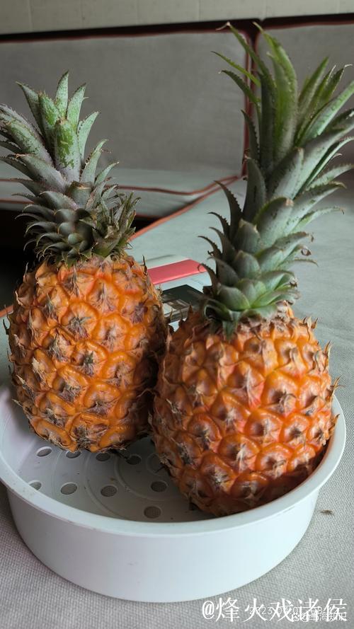 老款菠萝视频怀旧经典合集 老款菠萝视频怀旧经典合集